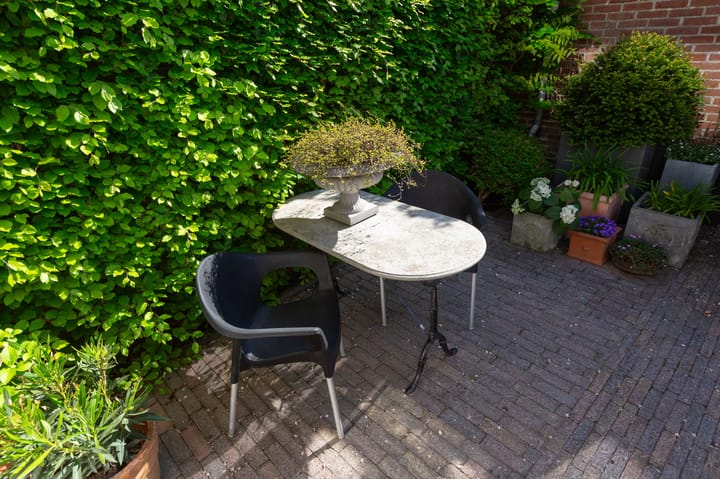 Foto 26 van De Meibloem 5