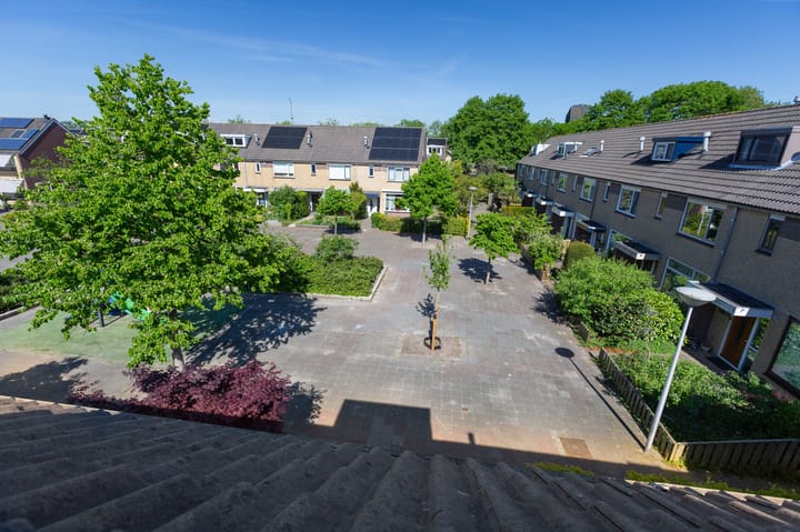 Foto 52 van De Meibloem 5