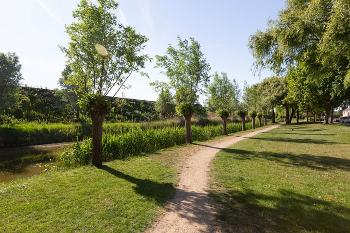 Foto 58 van De Meibloem 5