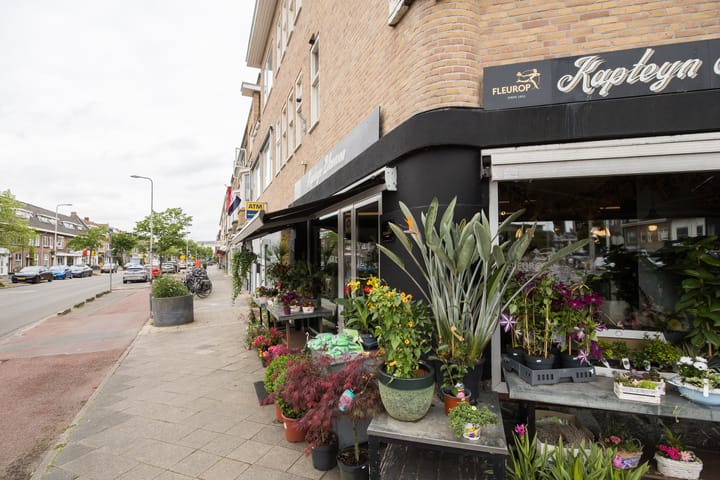 Foto 48 van Balijelaan 31-BS