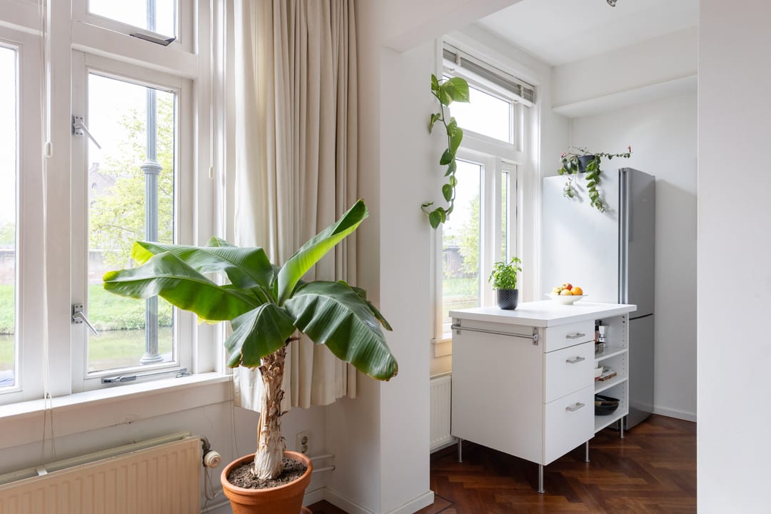 Foto 22 van Wittevrouwensingel 95-D