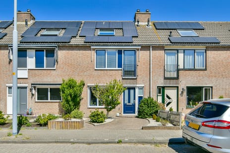 undefined main image