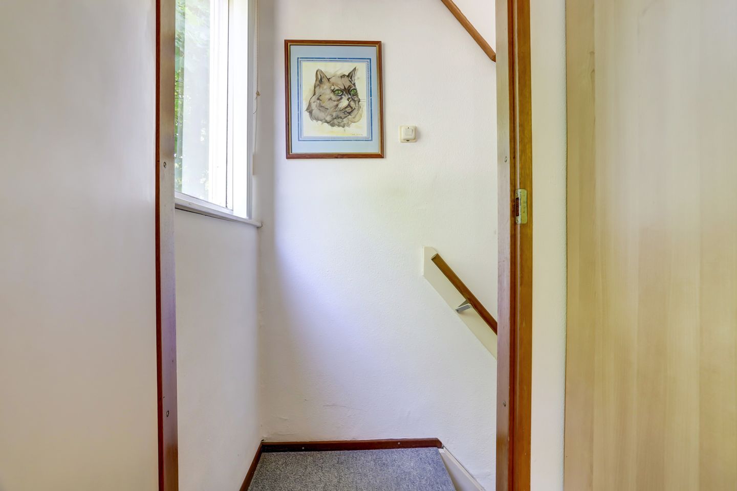 Foto 19 van Tweede Haren 18