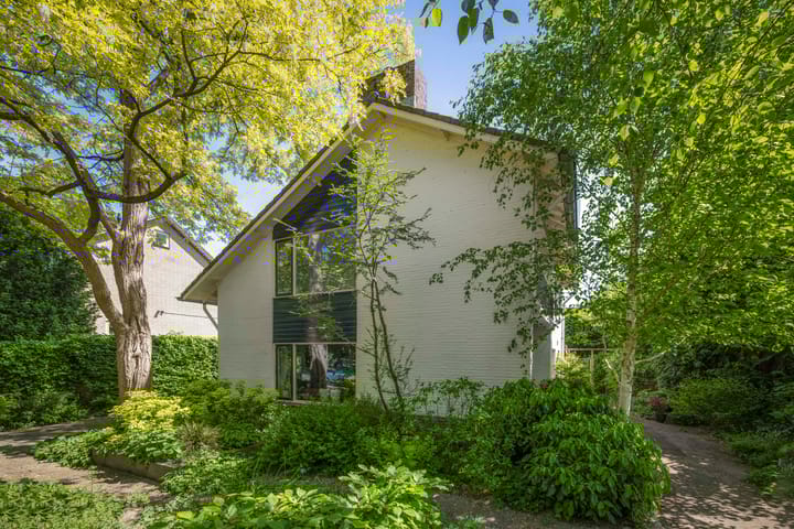 Foto 1 van Laan van Borgele 32