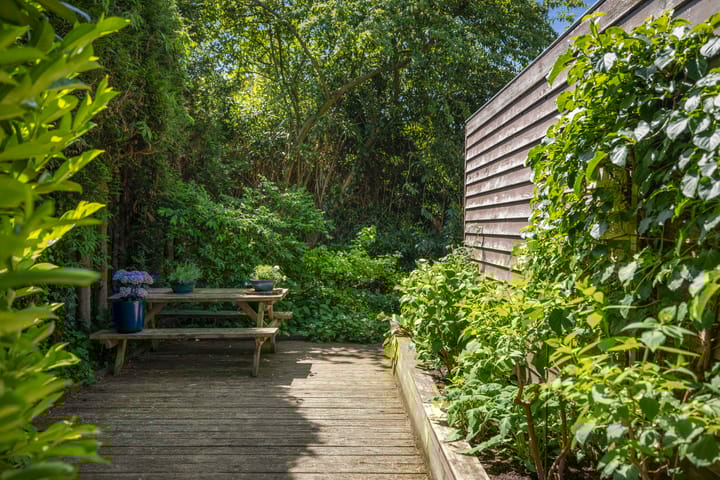 Foto 12 van Laan van Borgele 32