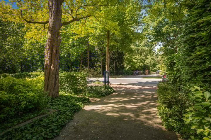 Foto 33 van Laan van Borgele 32