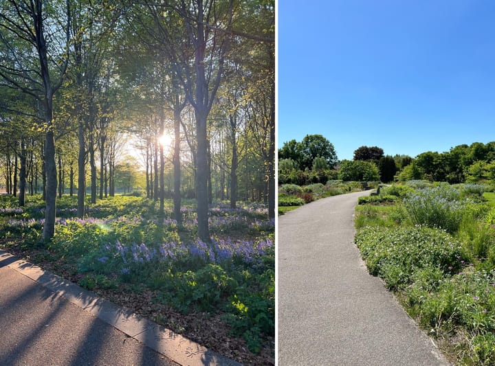 Foto 68 van Renoirhof 12