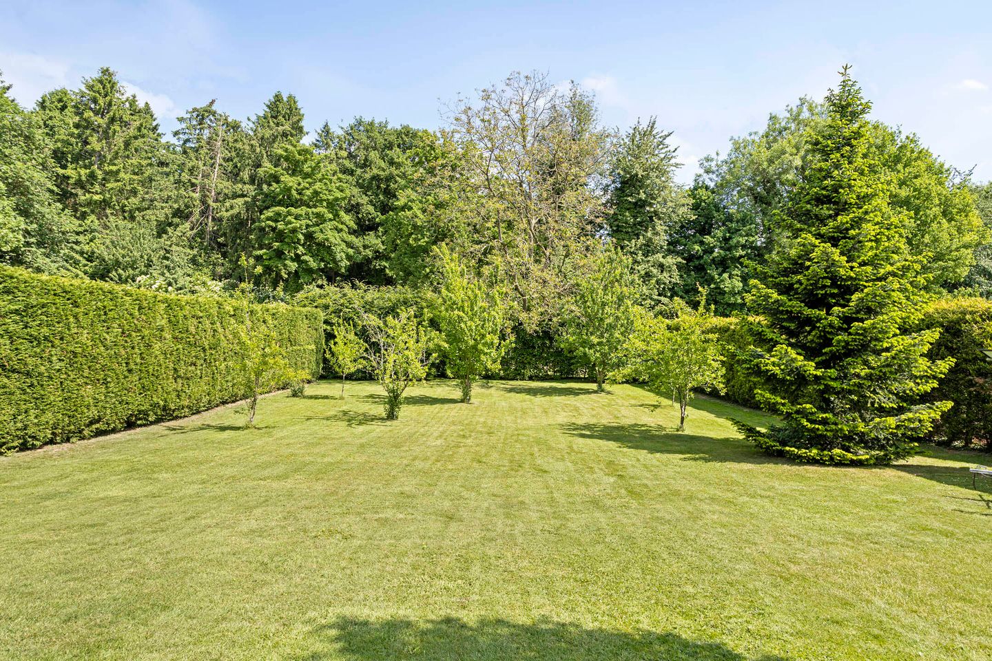 Foto 35 van Steinhartstraat 9