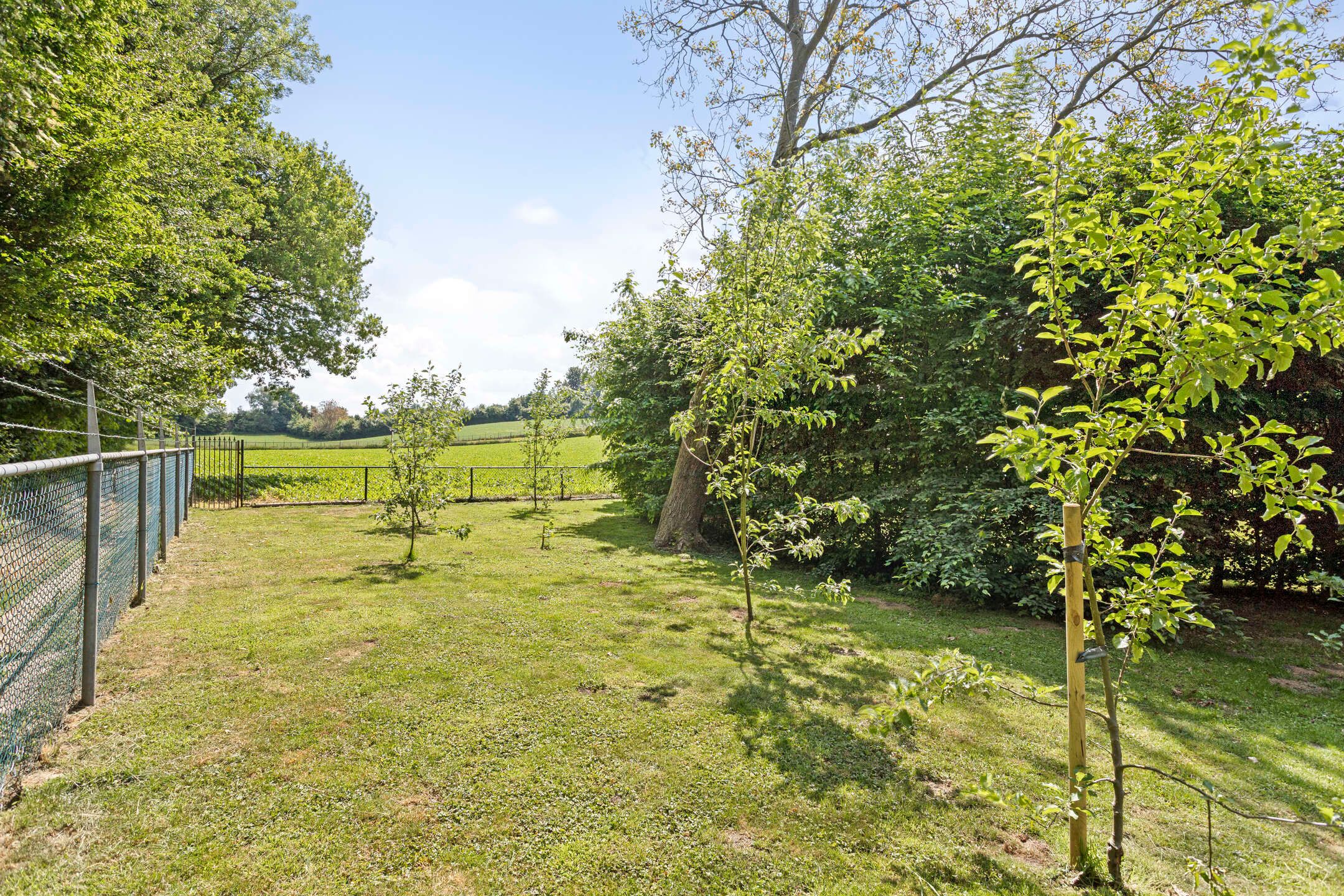 Foto 36 van Steinhartstraat 9