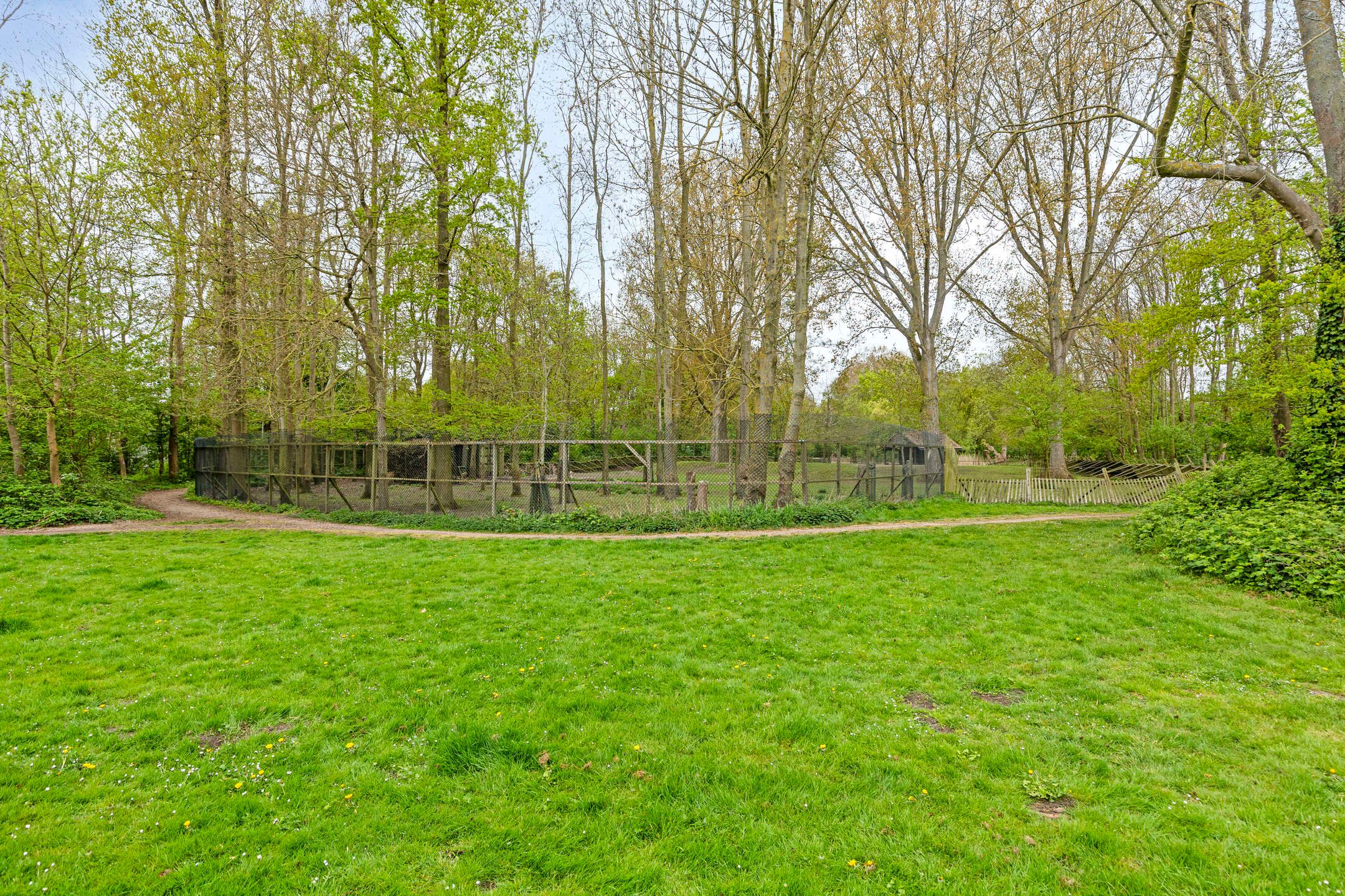 Foto 24 van Burggraafstraat 45