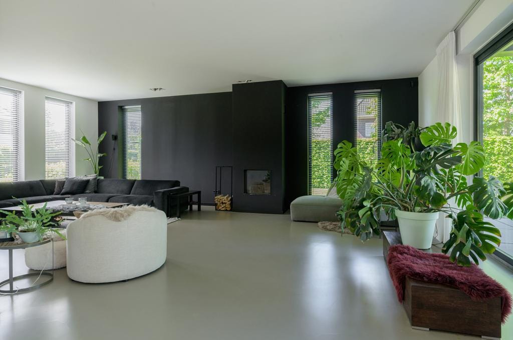 Foto 13 van Dassenlaar 10