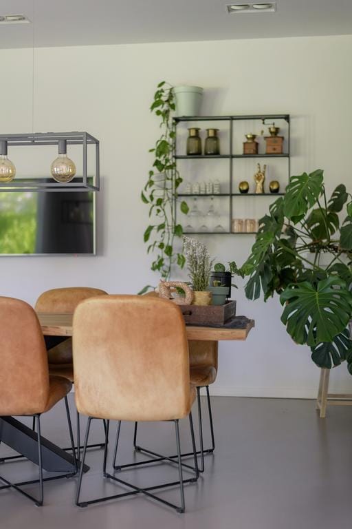 Foto 18 van Dassenlaar 10