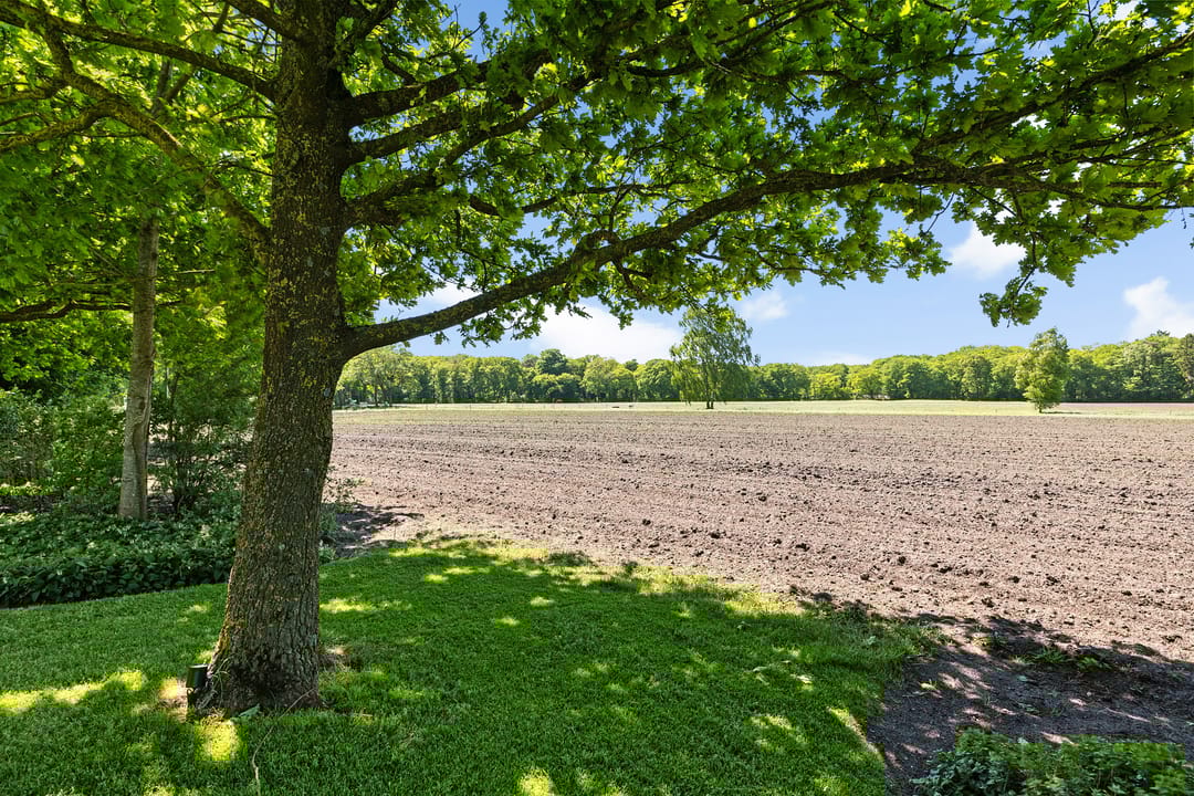 Photo 58 of Elperstraat 8