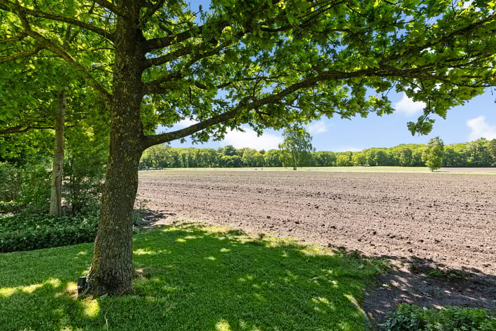 Foto 58 van Elperstraat 8