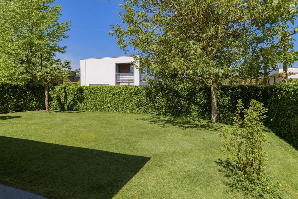 Foto 57 van Dassenlaar 10