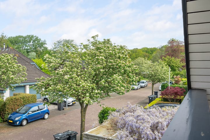 Foto 36 van Manegelaantje 6