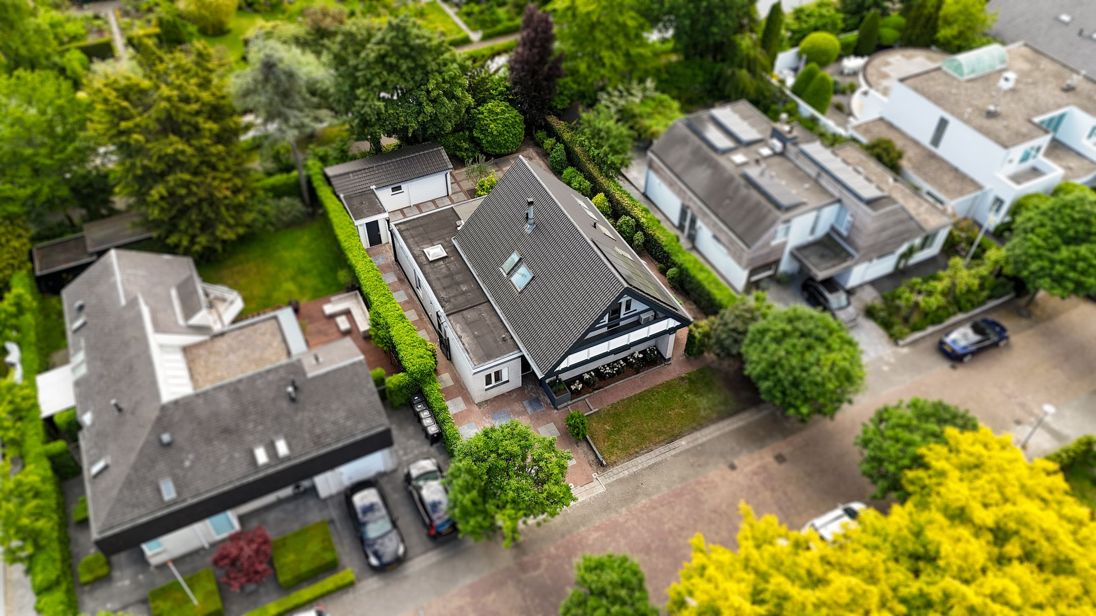 Photo 48 of Manegelaantje 6