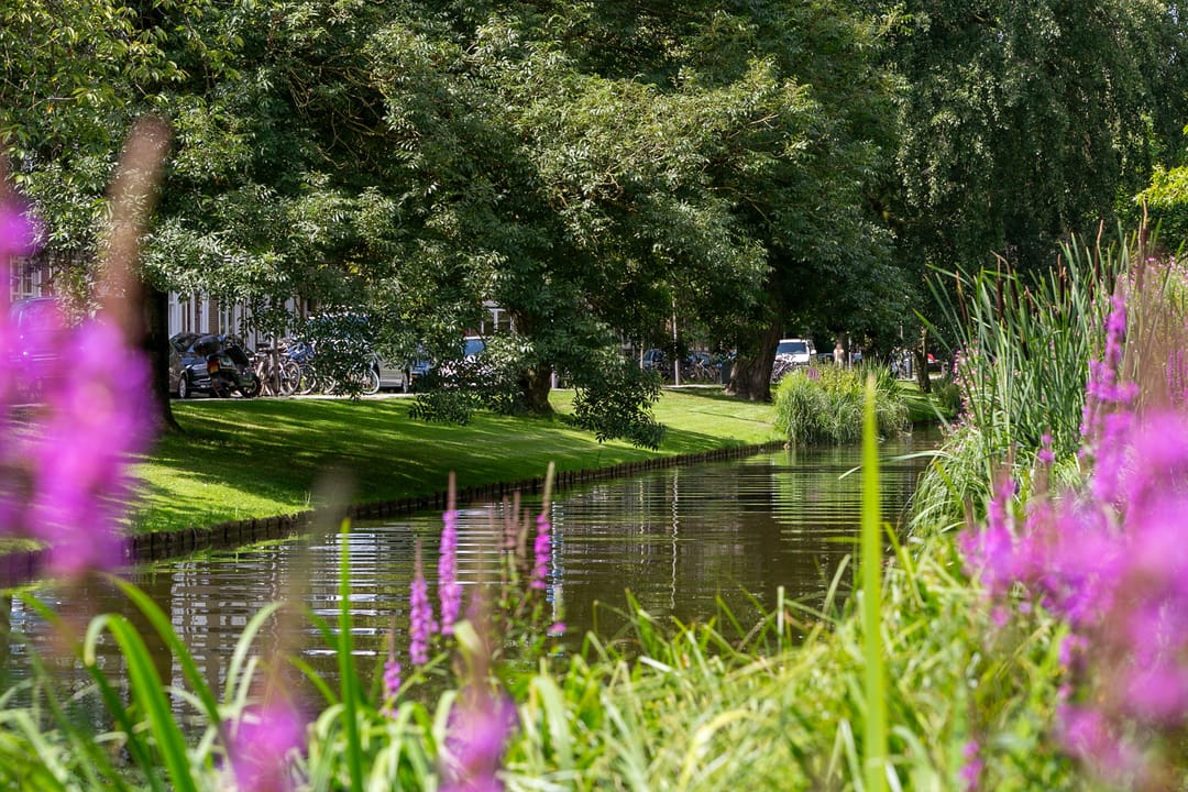 Photo 31 of Nolensstraat 31-B02