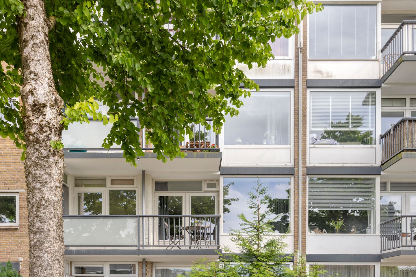 Foto 10 van Troelstrastraat 18