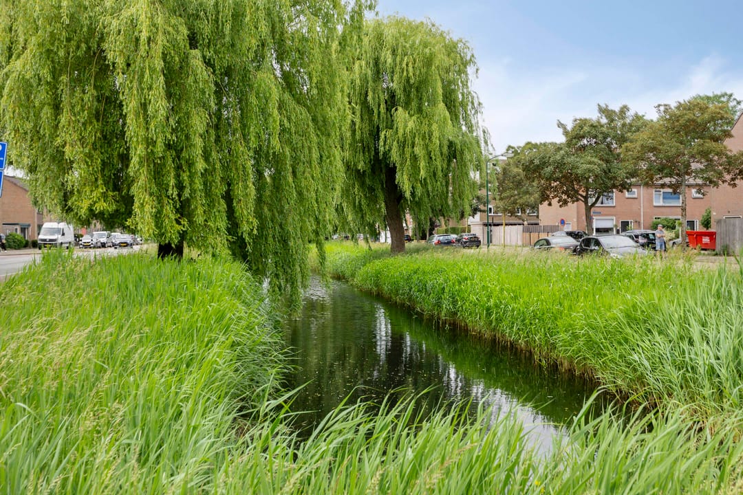 Foto 32 van Troelstrastraat 18