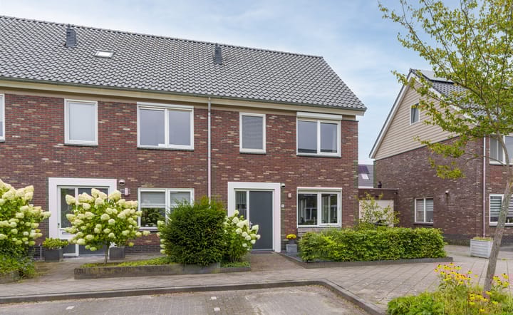 Foto 1 van Meidoorn 8