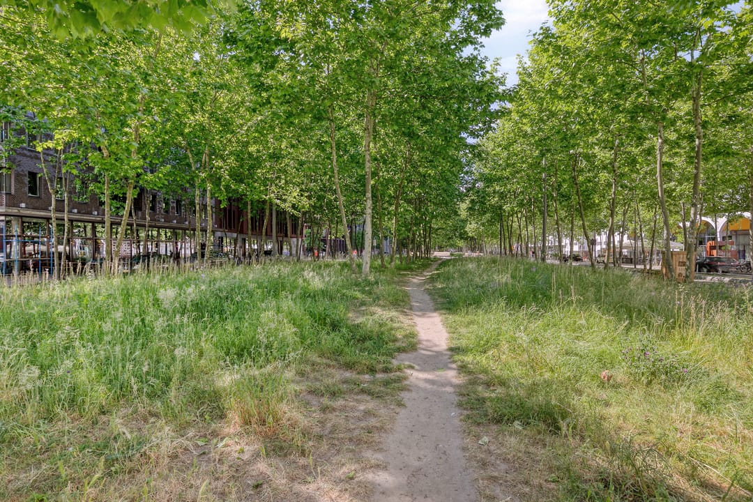 Foto 37 van Ir Kalffstraat 295