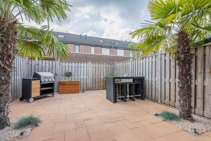 Foto 22 van Fossielenerf 692