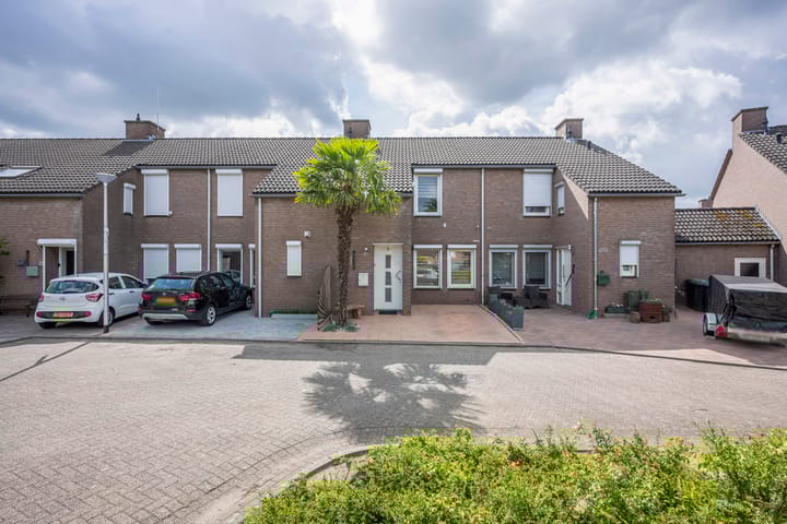 Foto 25 van Fossielenerf 692