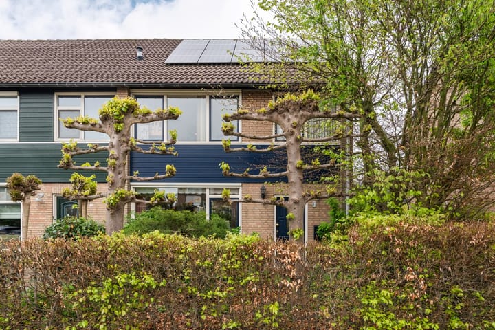 Foto 39 van Vincent van Goghstraat 6