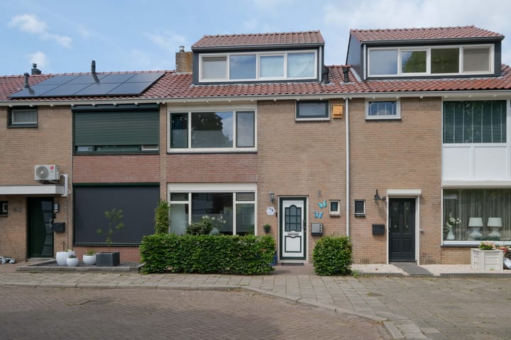 undefined main image
