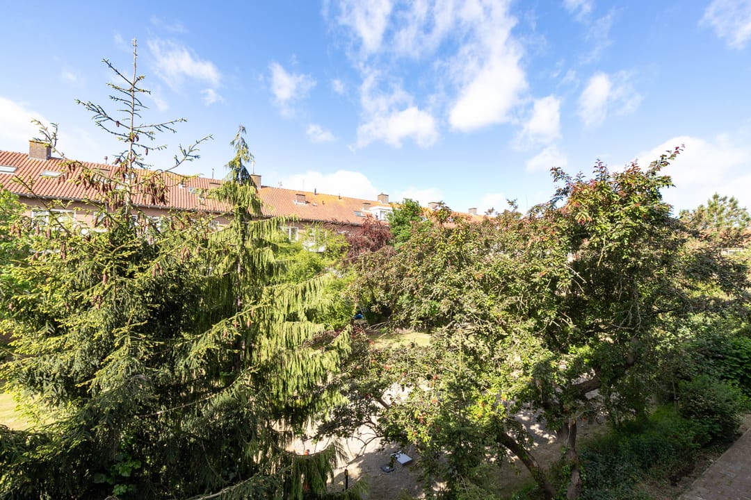 Foto 13 van Moddermanstraat 51