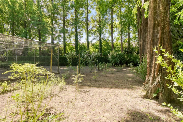 Foto 56 van Prinsenstraat 79