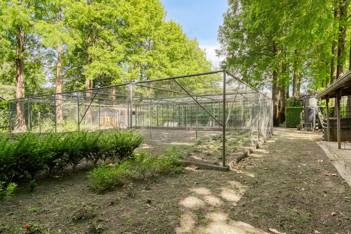 Foto 58 van Prinsenstraat 79