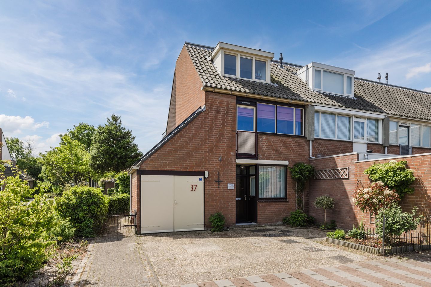 Photo 1 of Neptunus 37