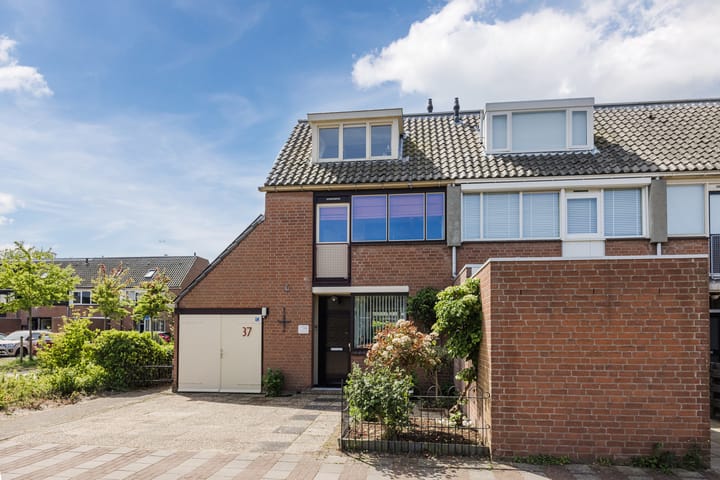 Photo 2 of Neptunus 37