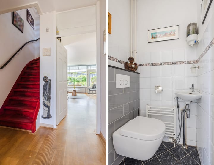 Photo 14 of Neptunus 37