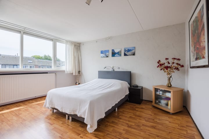 Photo 15 of Neptunus 37