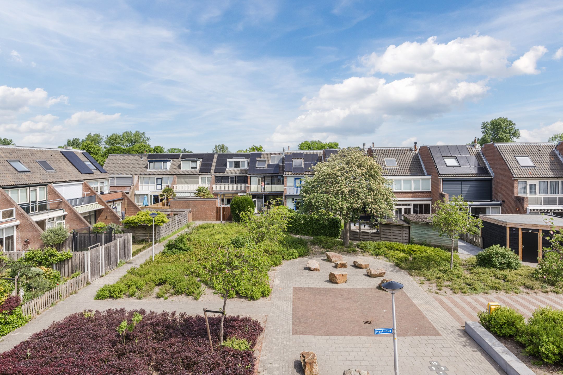 Foto 30 van Neptunus 37