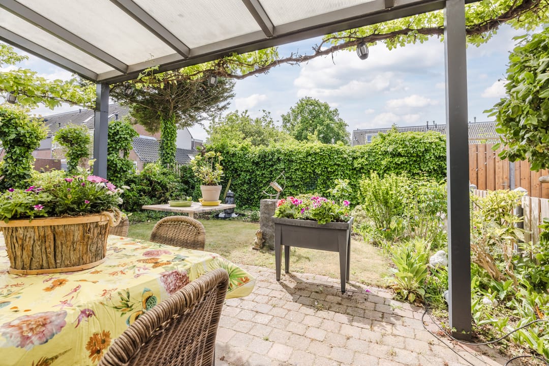 Foto 31 van Neptunus 37