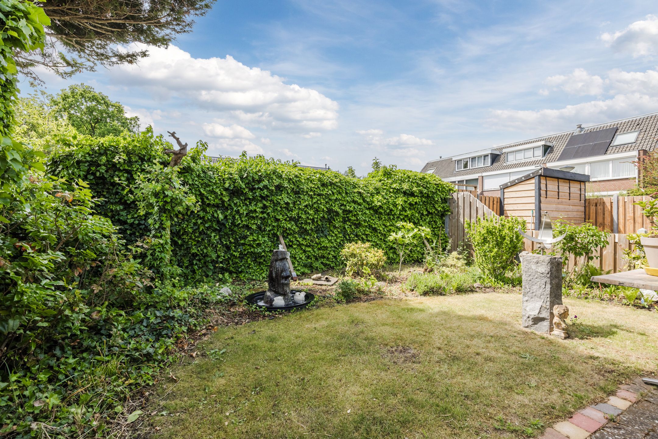 Foto 33 van Neptunus 37