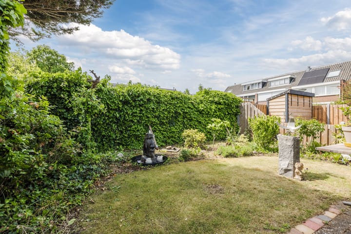 Photo 33 of Neptunus 37