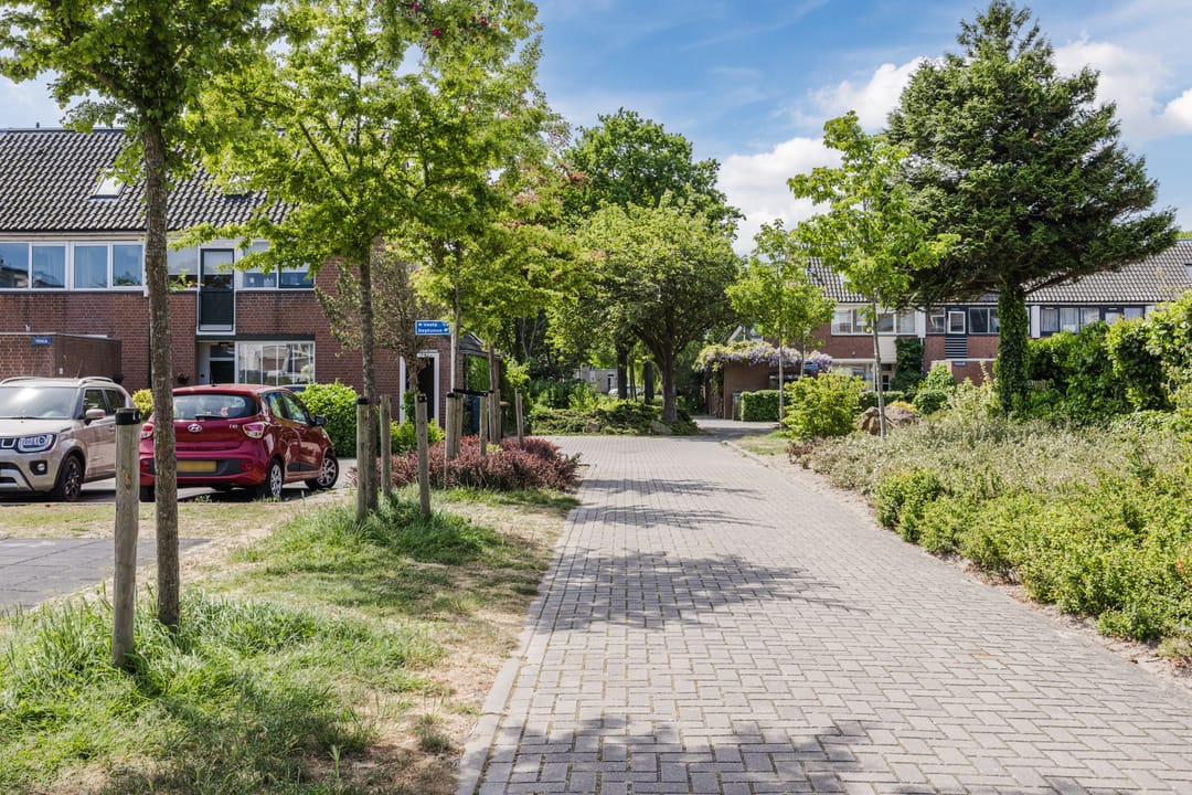 Foto 37 van Neptunus 37