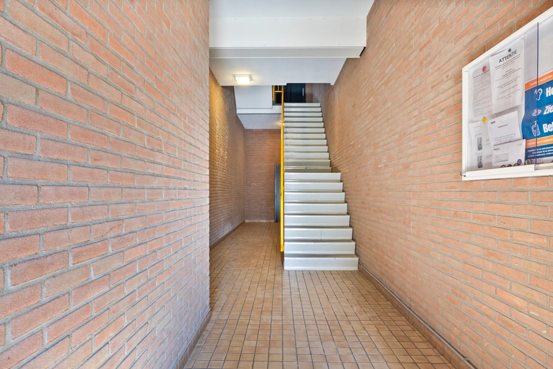 Photo 8 of De Heurne 55-3