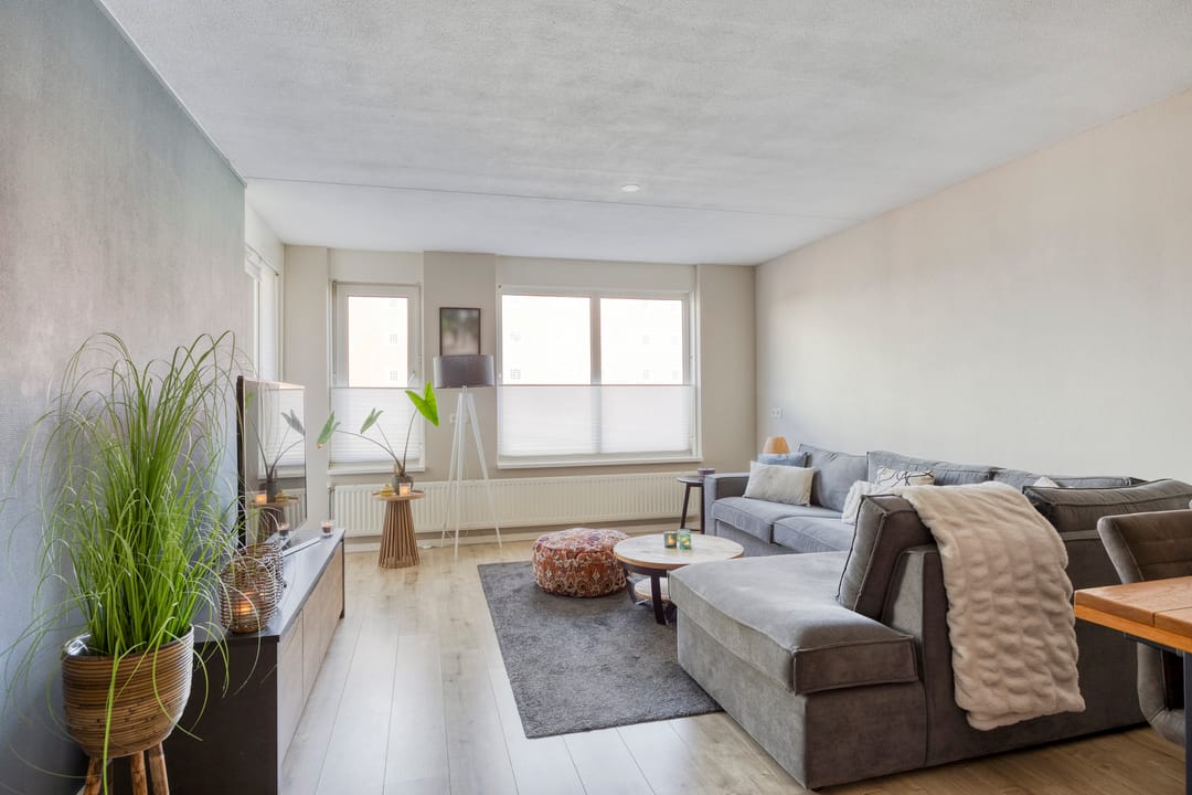 Photo 11 of De Heurne 55-3