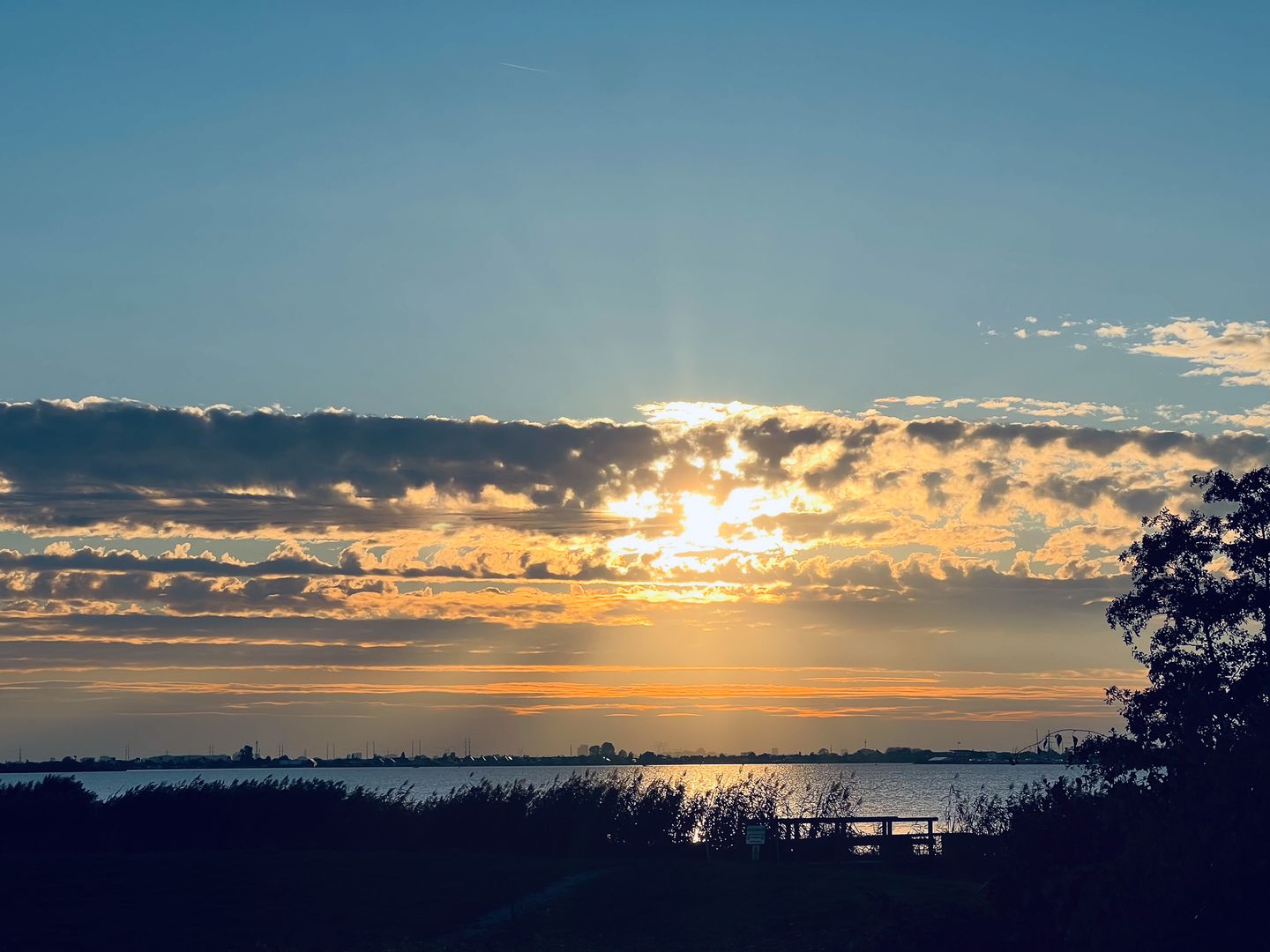 Foto 40 van Venelaan 8