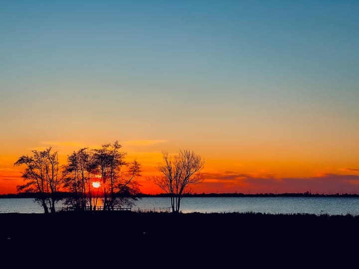 Foto 3 van Venelaan 8