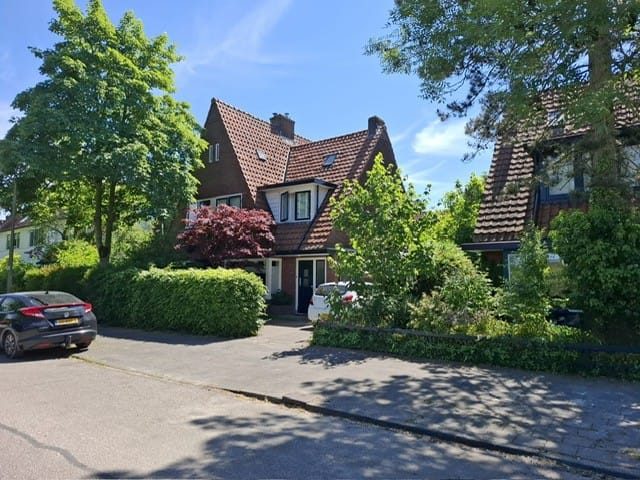 Foto 1 van Dollardstraat 106