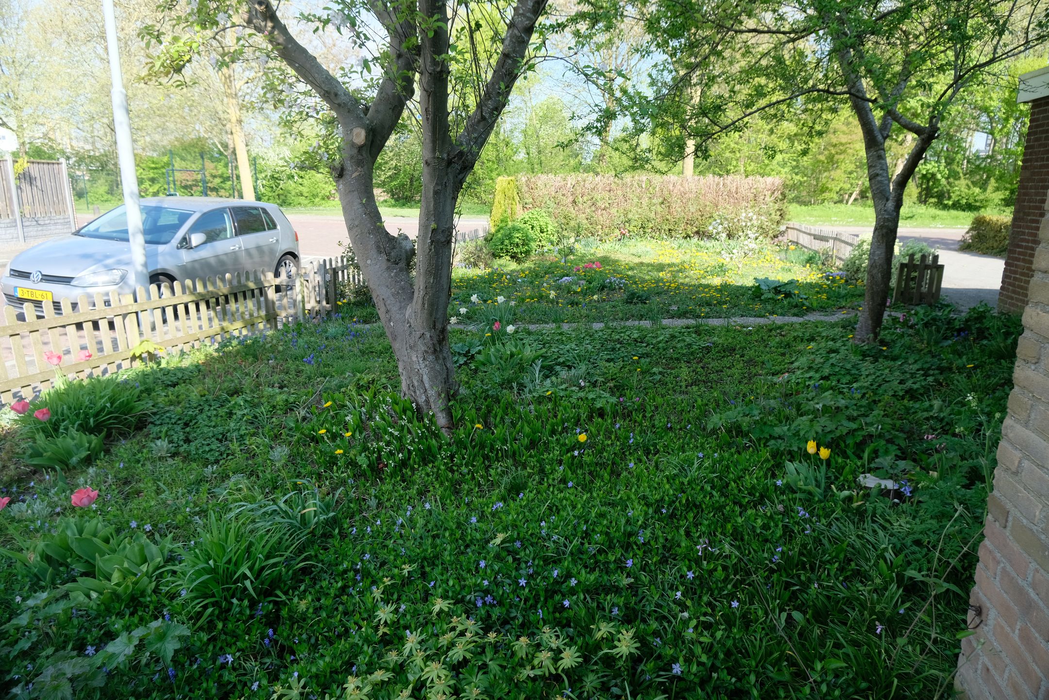 Foto 12 van Meterenstraat 1