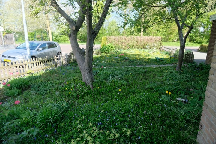 Foto 12 van Meterenstraat 1