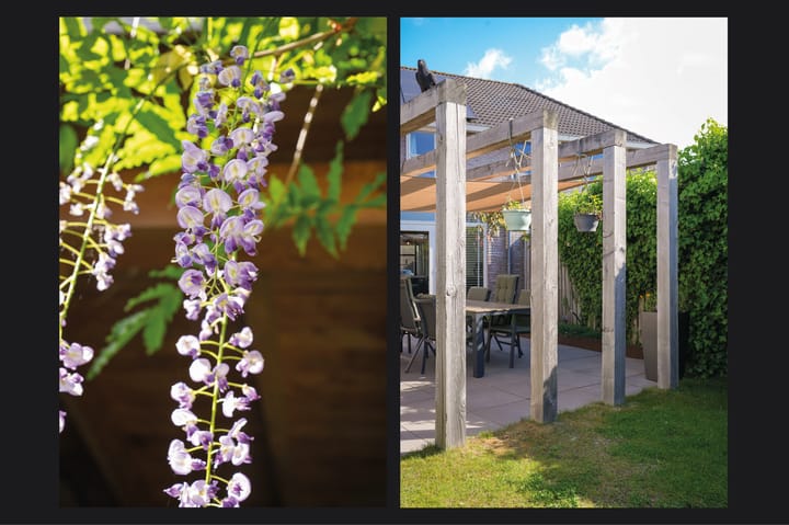 Foto 35 van Jan van Galenstraat 6